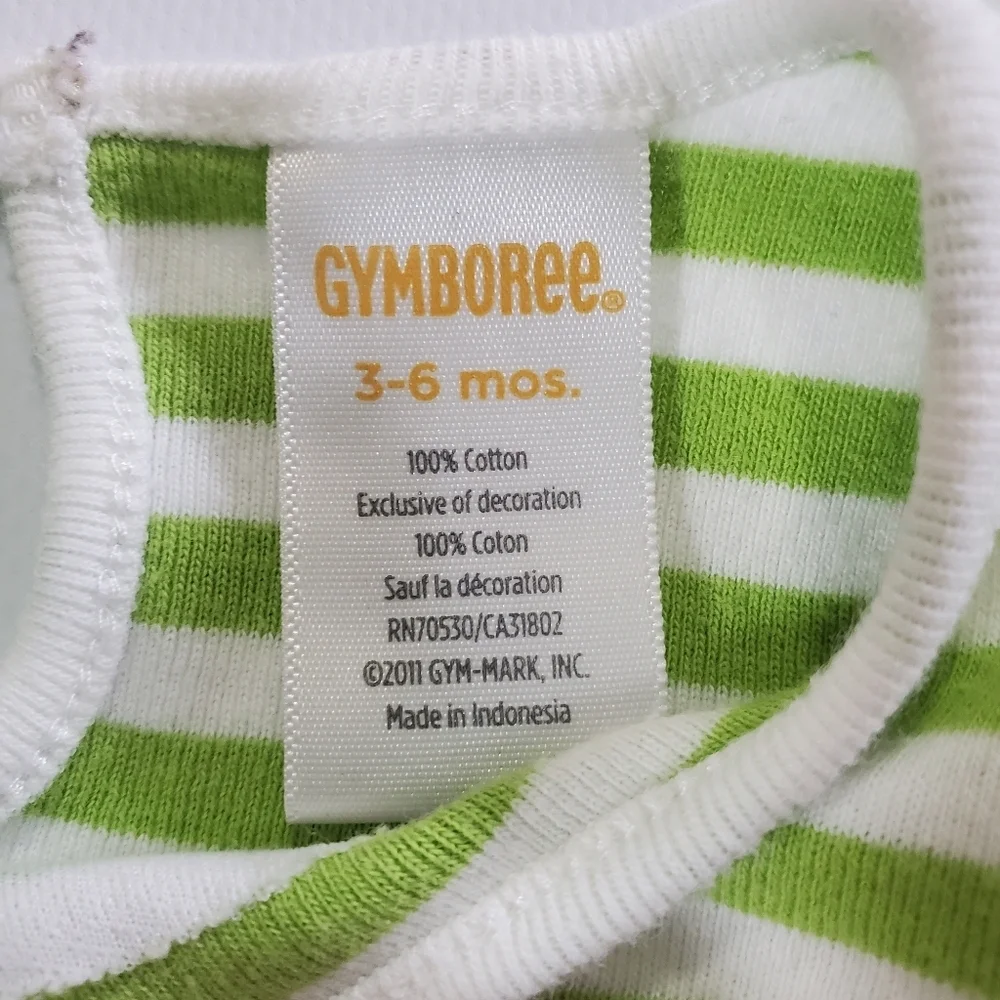 K1338 * Gymboree Girls Flower Stripe Long Sleeve Tee Green White Size 3/6M